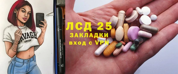 индика Белоозёрский