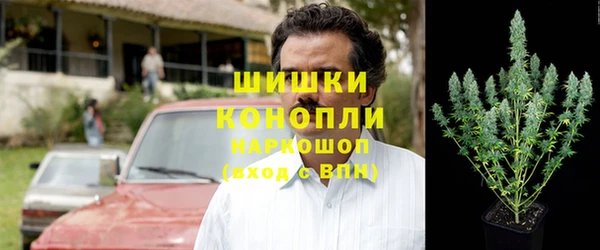 спайс Белокуриха