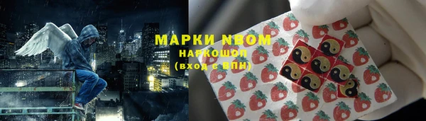 индика Белоозёрский