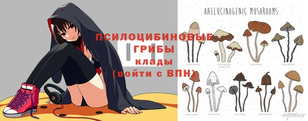 спайс Белокуриха