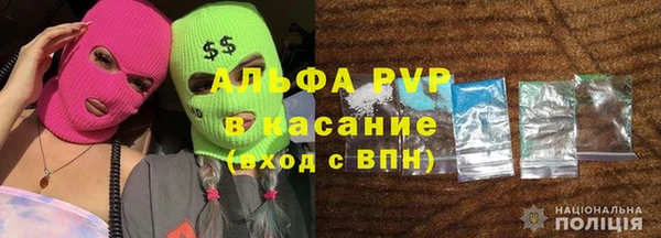 индика Белоозёрский