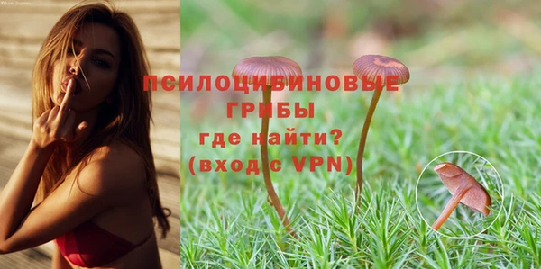 спайс Белокуриха