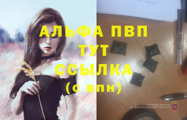 индика Белоозёрский